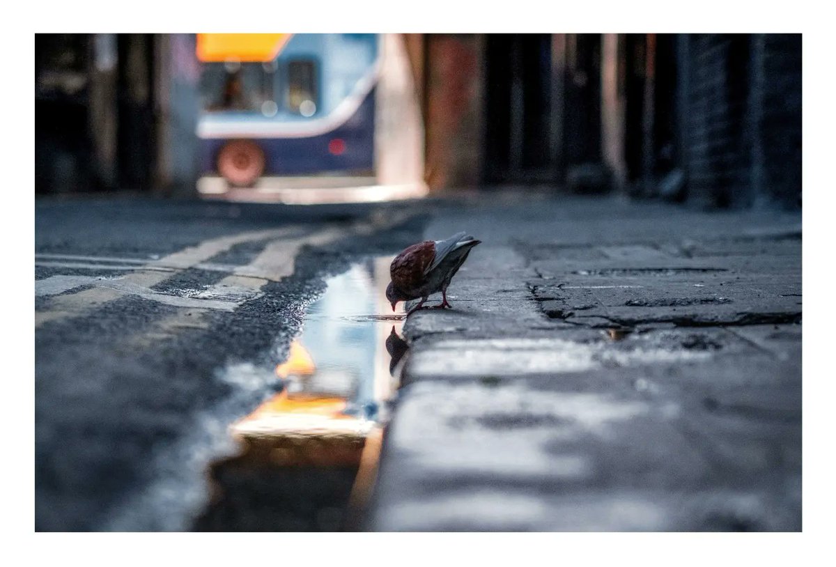 Once upon a time in Dublin '19 #streetphotography