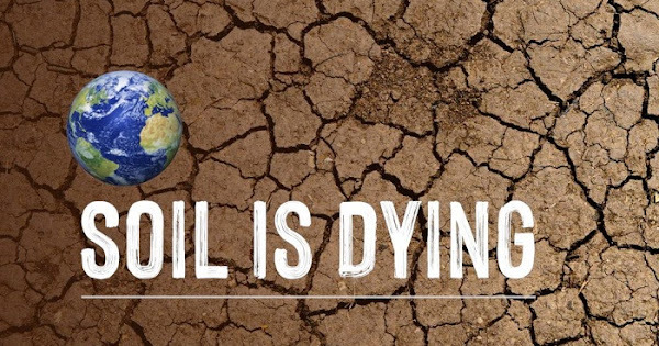 ls_tweeting's tweet image. The natural food cycle is sustainable only if we take care of the soil. Water and biodiversity is a consequence of rich soil. #NoSoilNoFood savesoil.org