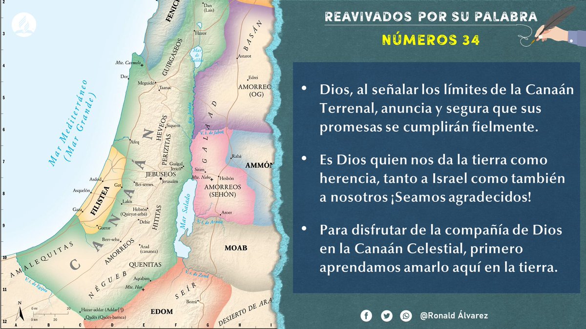 RonaldlvarezTo1's tweet photo. #rpsp #PrimeroDios
#Numeros34 https://t.co/n3b9eVAx38