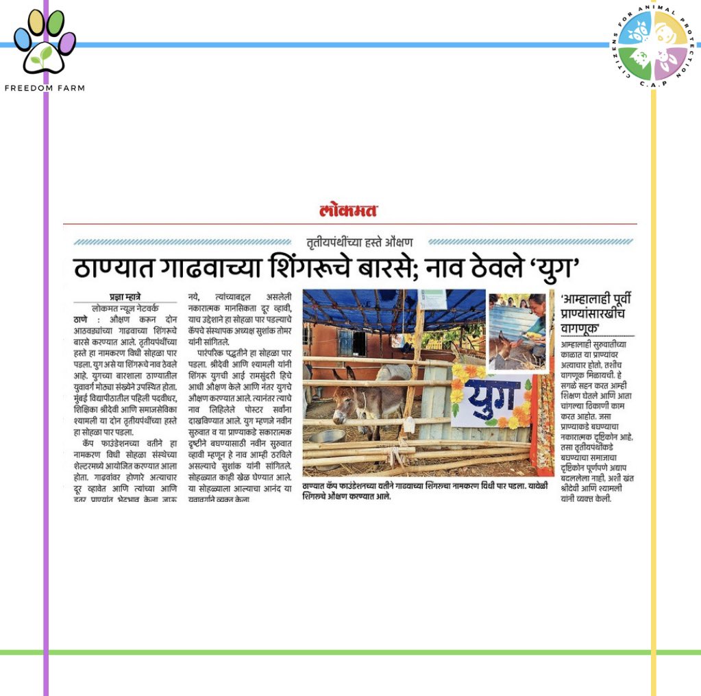 CFreedomfarm's tweet photo. We are extremely happy for conducting the naming ceremony of a baby donkey at Freedom Farm. This event was one of its kind with fun-filled activities, live music, affectionate people for our शिंगरु  ! https://t.co/2YAtSv0FFr
