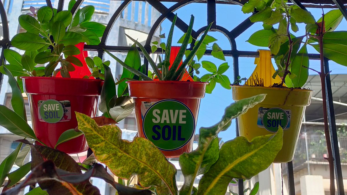 skis4u's tweet photo. My small garden ...spreading the message of #SaveSoil https://t.co/1FXL7D9l9t