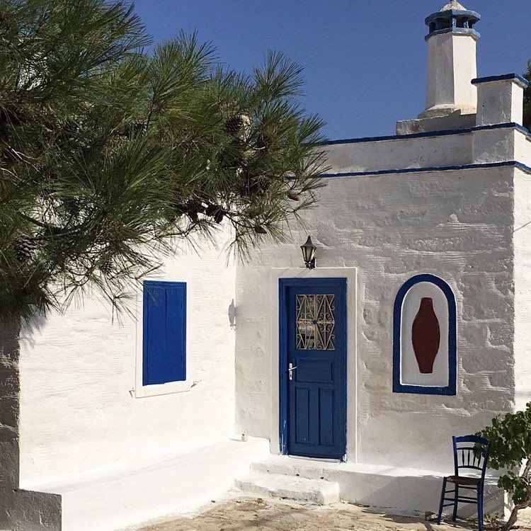 Summer evening. 🕊