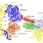 Photo by Schmitt-MechulamLab (@TBioc)