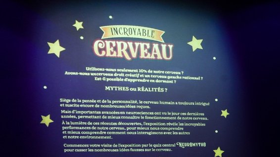 irisa_lab's tweet photo. Chaque mardi à 17H30, venez rencontrer un neuroscientifique dans l’expo « Incroyable Cerveau » à l'@Espace_sciences 🧠
🗓️Parmi toutes ces rencontres, ne manquez pas celles du 14  &amp; 21 : Equipe de recherche @empenn_lab @Inria_Rennes @UnivRennes1 @Inserm @CNRS_dr17 https://t.co/C8dZKhE4O3