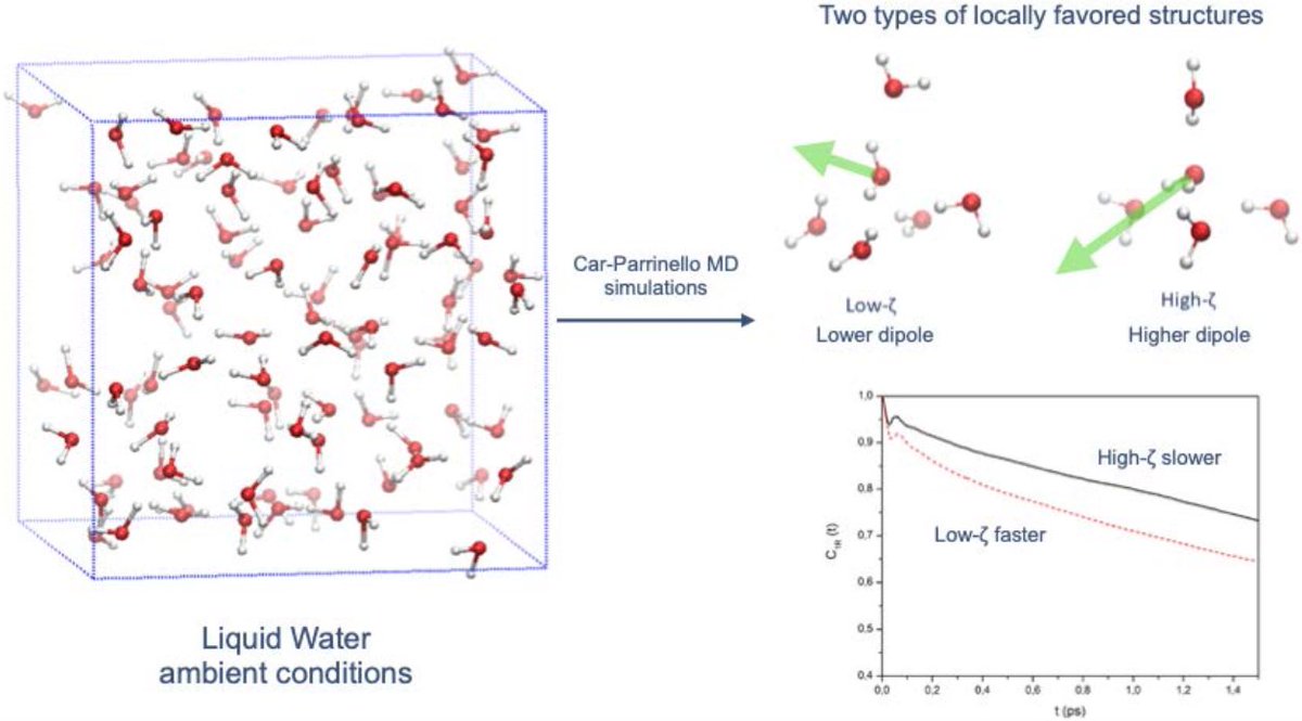 GFranzesePhD's tweet photo. #CarParrinello calculations reveal #water under ambient conditions has #nano fluctuations between #two_states with different electric #dipoles and #dynamics! Check our preprint https://t.co/nWas67CaDP with Ioannis Skarmoutsos + Elvira Guardia @la_UPC @FisicaUB @In2Ub Ioannina_Un. https://t.co/k7khKqxyDW