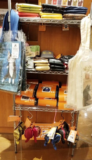かわいいダヤンのグッズを買いに行こう 紀伊國屋書店 ららぽーと横浜店にて 猫のダヤン グッズフェアが7月18日まで開催中 横浜love Walker