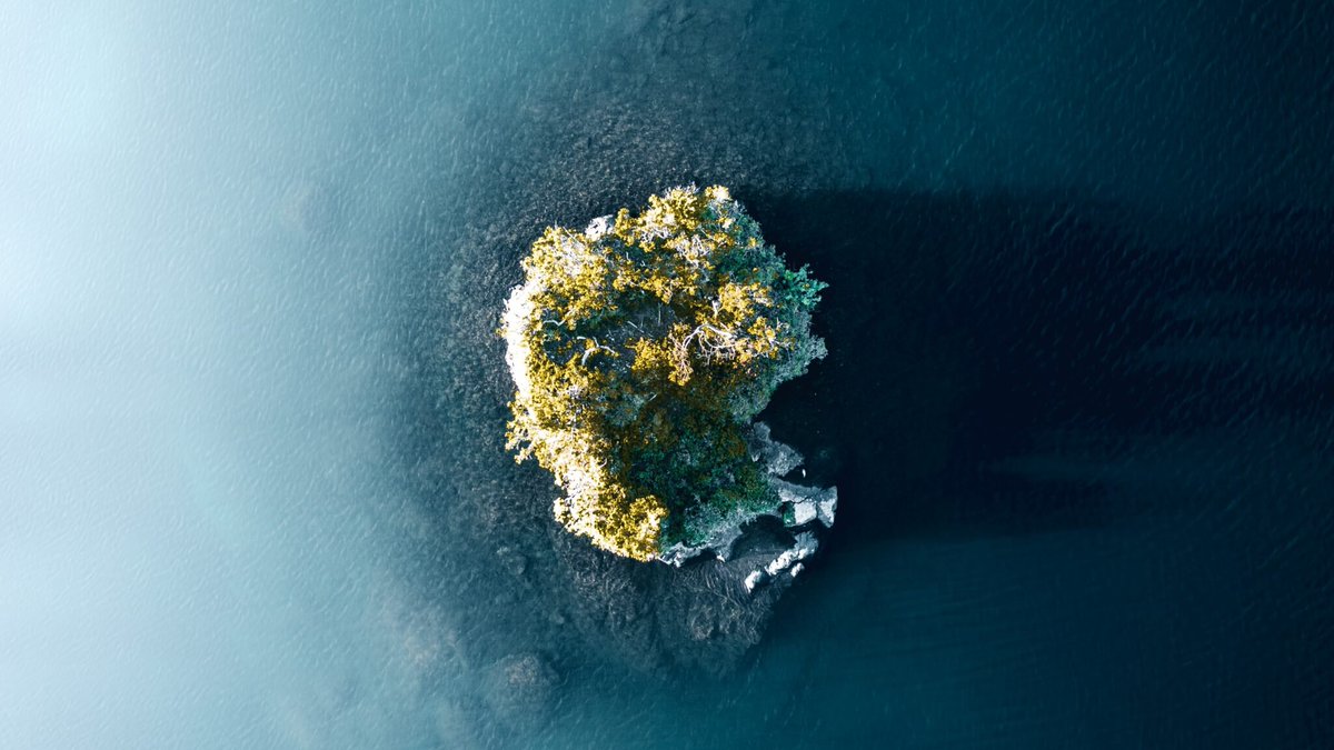 Last chance to contribute to this special issue in #envhist 
📢Call for papers The Northern Mediterranean Archipelago: Environmental Histories of Adriatic, Ionian, Tyrrhenian and Ligurian Islands
eseh.org/cfp-for-a-spec…