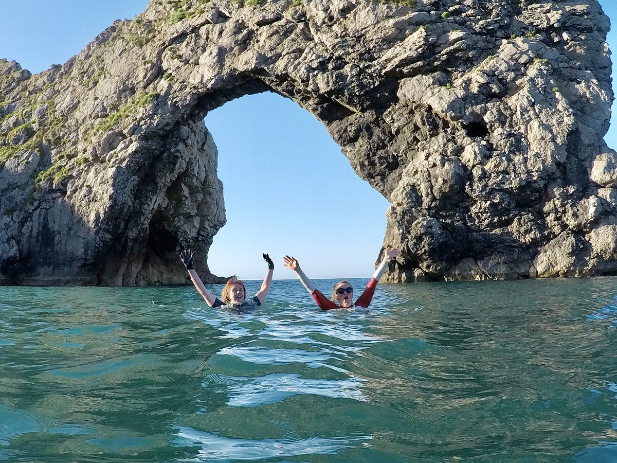 Dip Advisor tweet media