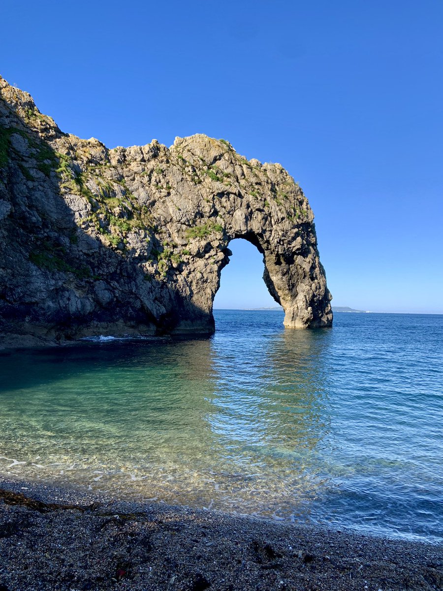 Dip Advisor tweet media