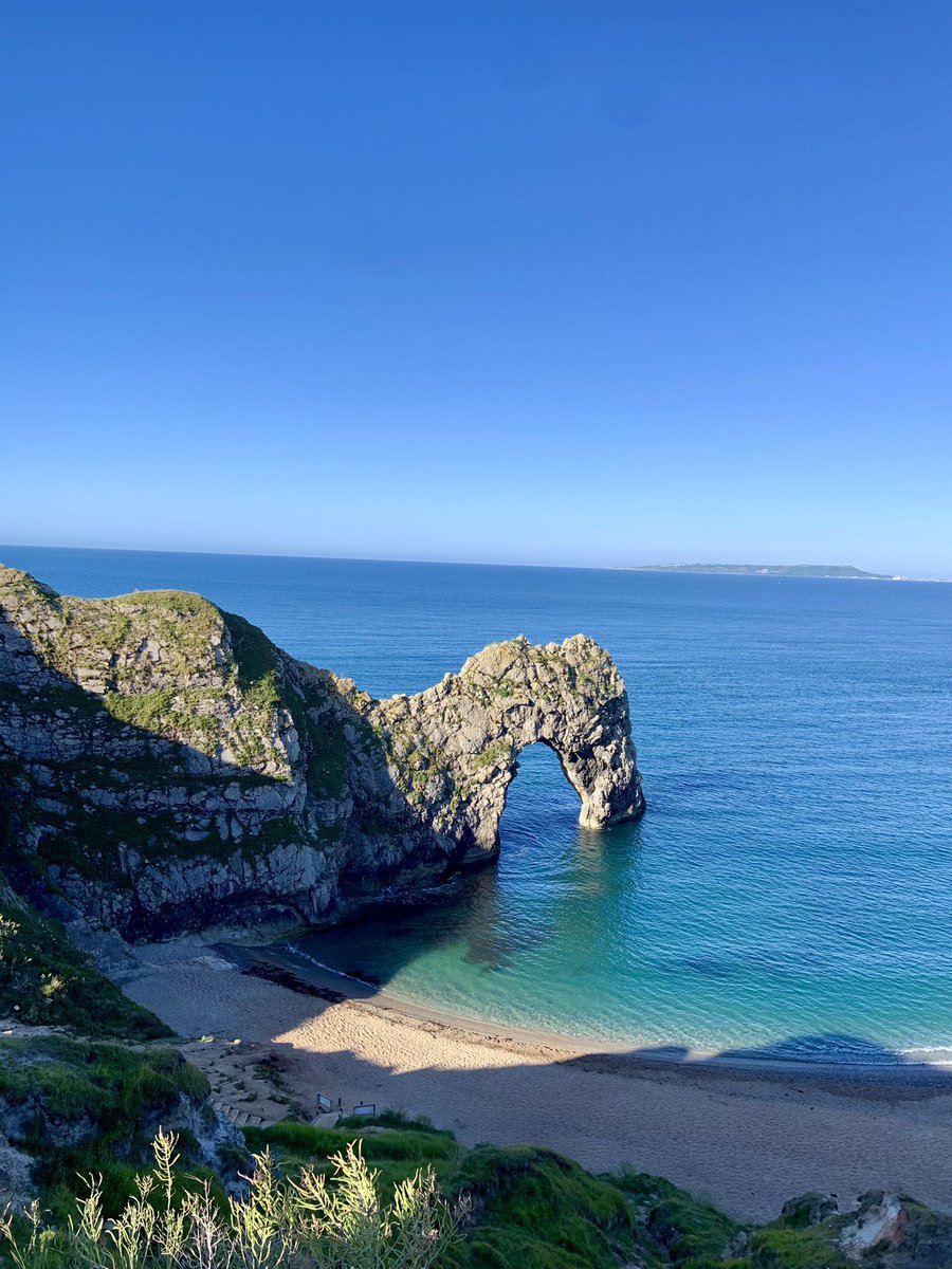 Dip Advisor tweet media