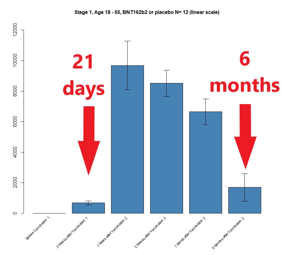 .... 2⃣ why this constant need for boosters if the antibody levels between day 21 and 6 months are far in excess of those required for the 'protection' seen after 12 days. Of course, it's possible that the 'protection' wasn't real...