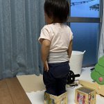 箱に入って気をつけ!背筋ピン、おててもピシッと決めている姿が可愛い。