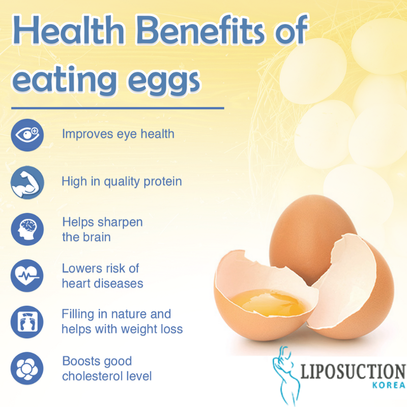 liposuctionkr's tweet photo. An egg is an ideal healing food and is a traditional first meal to serve individuals recovery from surgery for a good reason.
Consult👇
Email at📩: info@liposuctionkorea.com
https://t.co/T0mfTvR1IW
➡ Inbox Us: https://t.co/RaR0IM0BPf

#LiposuctionKorea #EggBenefits #woundhealing https://t.co/ikESoHWaml