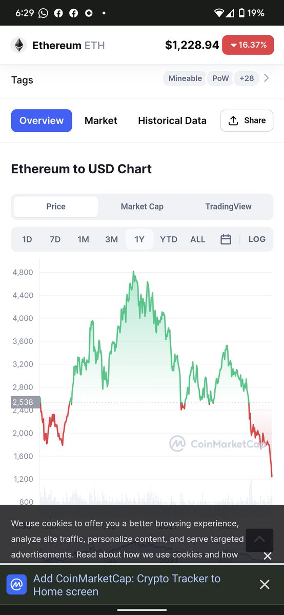 NickWaisome's tweet photo. @Confucius_said_ you still on this bro? Don flipped alts a couple times. Thanks for holding the bag. https://t.co/oEwObkPTnr