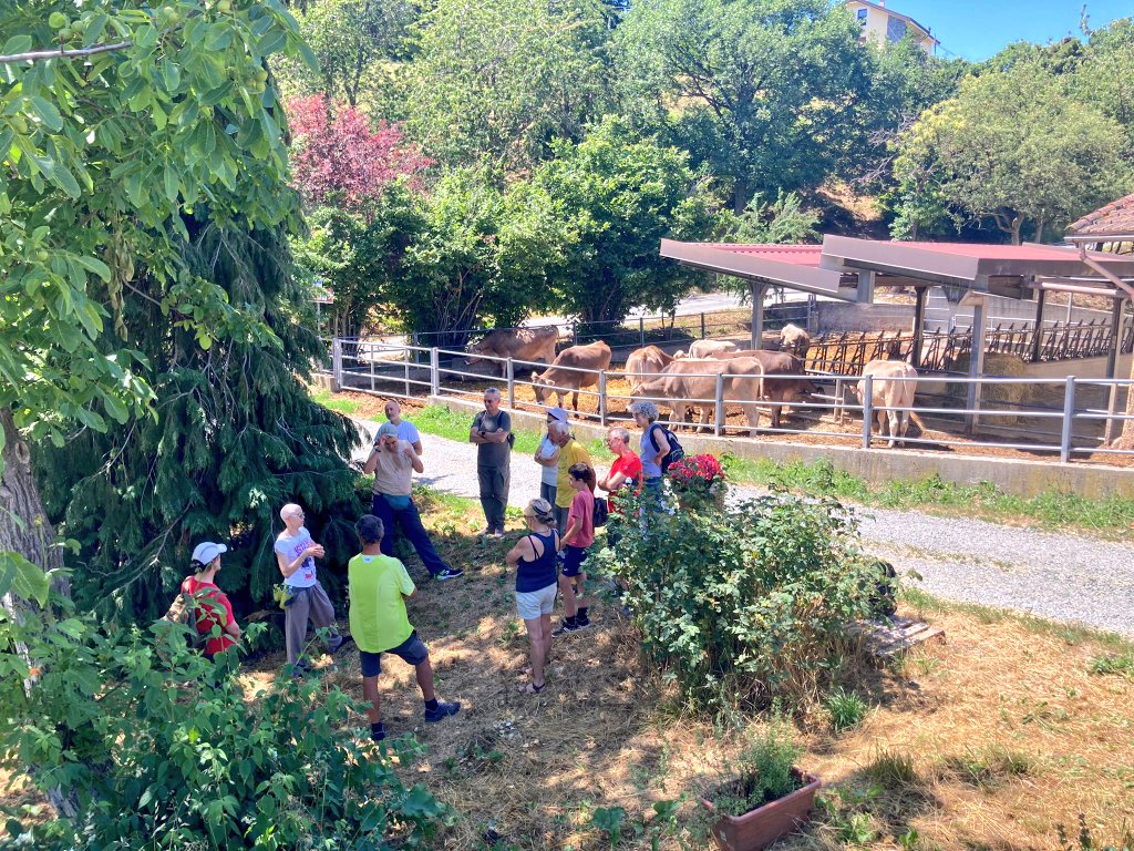ParcoBeigua's tweet photo. Com'è andato il Geotrekking #Beigua di sabato in Val Gargassa? Molto bene, nonostante il caldo. E concluso in bellezza con sosta gustosa da @AziendaLavage #GustosiperNatura #CamBioVIA https://t.co/ehqfSETYVD