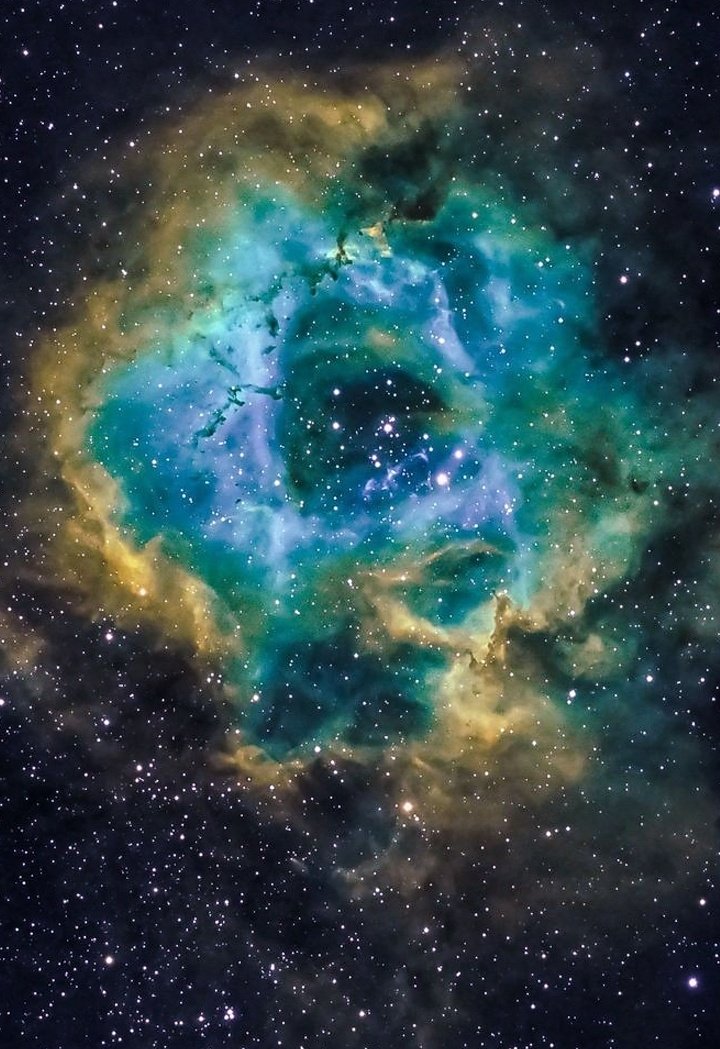 maiz_julio's tweet photo. NGC2244 Rosette Nebula in Monoceros. https://t.co/j4AHPjXsd5