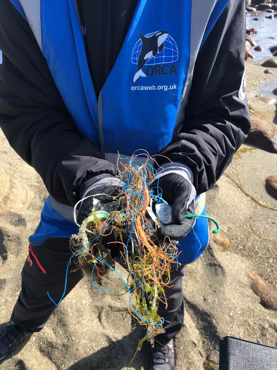 ORCA_web's tweet photo. Ocean Conservationist Emily put her time to good use in Egersund. Together with a team of dedicated guests from @HurtigrutenEXP #MSMAUD they cleared lots of rubbish from a nearby beach. It was a fantastic team effort!
#cleanupforsarah https://t.co/gk7GT1N2ww