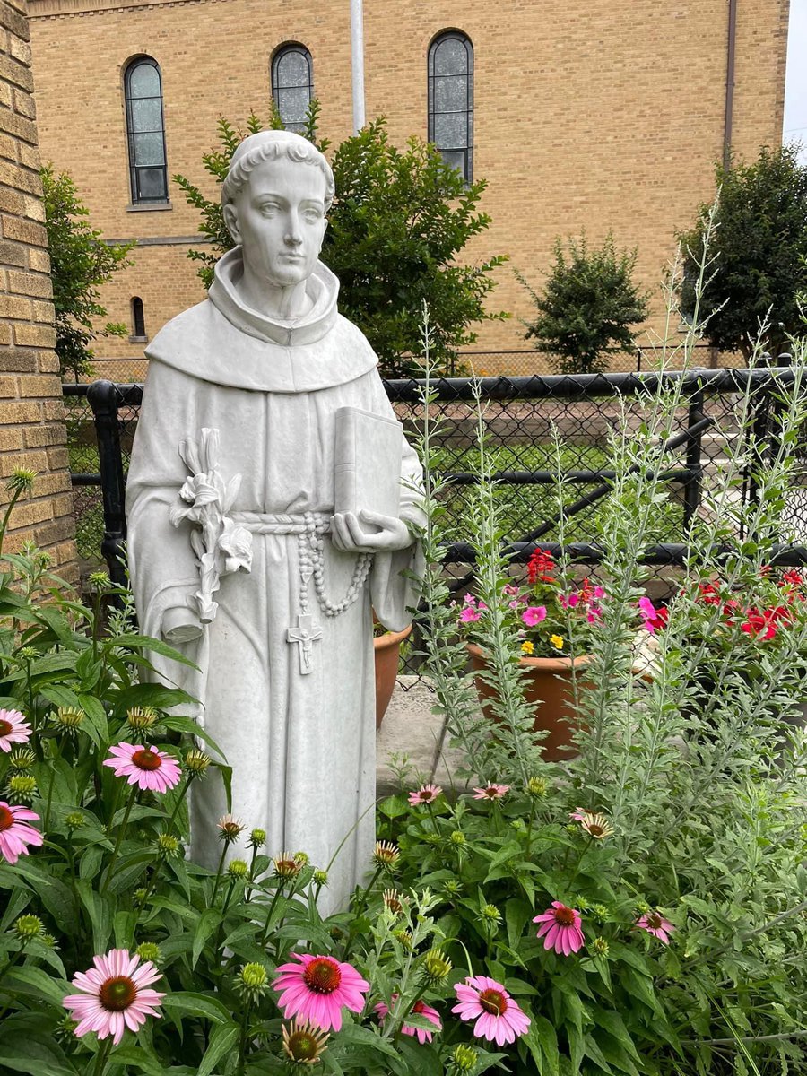 STA_Brookland's tweet photo. Happy St. Anthony Feast Day!
#STABrookland #FeastDay #LittleRome #CCACelebrates https://t.co/eD3ew2hwfC