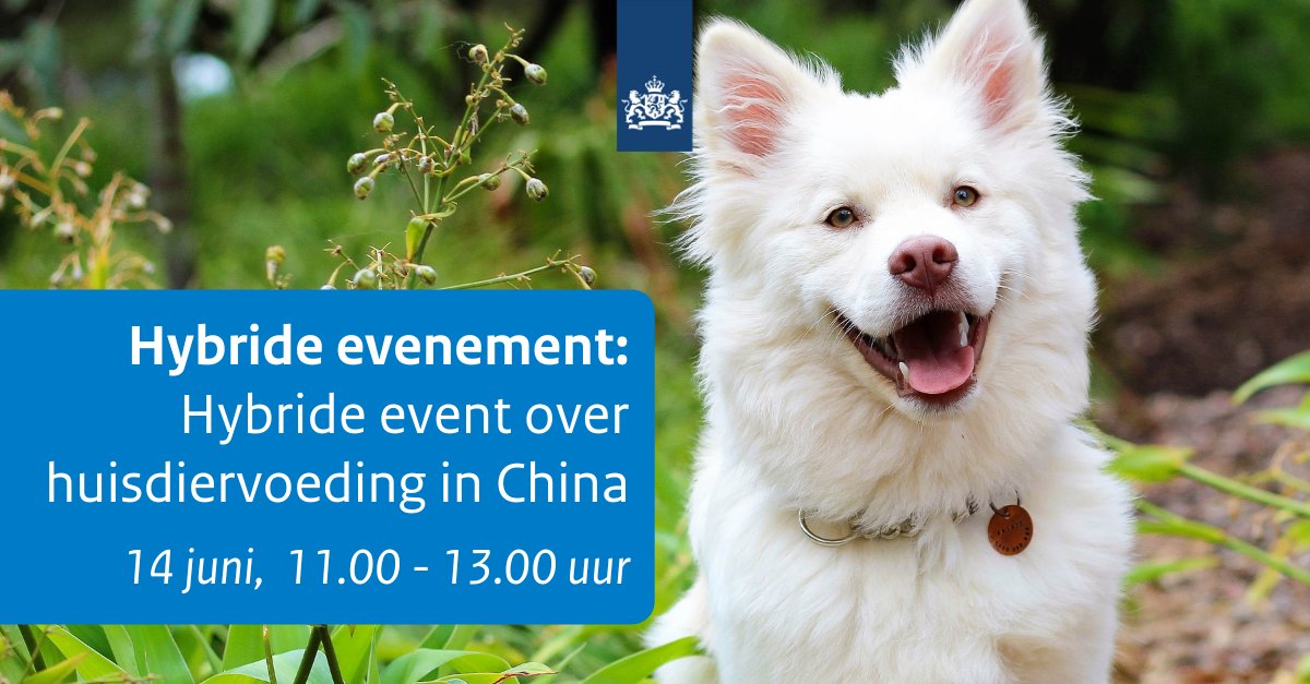 EVENEMENT - Actief in de #huisdier-voedingsindustrie? En benieuwd naar zakelijke kansen in #China🇨🇳? Neem dan deel aan het hybride event over huisdiervoeding in China. Let op, meld je uiterlijk vandaag nog aan.

👉 bit.ly/3xHjNeL

<a href="/NLinChina/">Embassy of the Netherlands in Beijing</a> <a href="/bierkensmpj/">michiel bierkens</a>