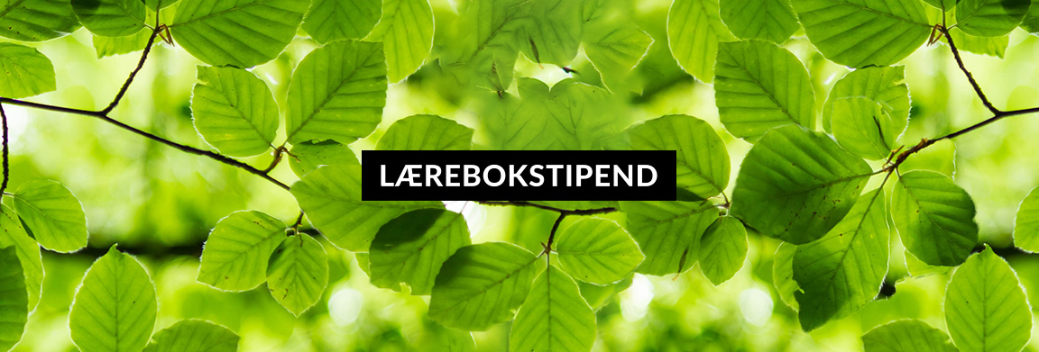 Vi gratulerer vinnerne av Fagbokforlagets lærebokstipend 2022! 💥🎉 magasin.fagbokforlaget.no/artikler/laere…