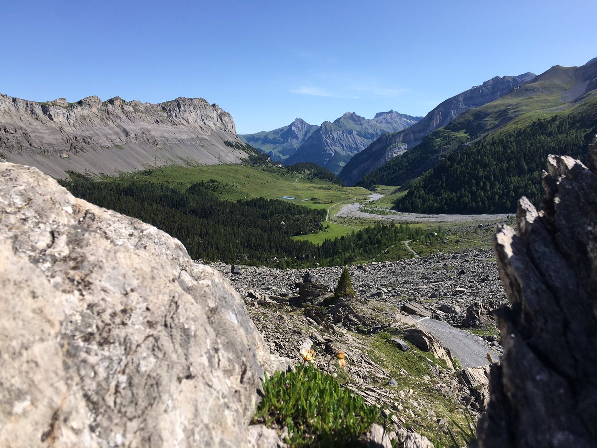 Get Creative tweet media