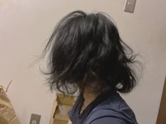 狂い火エンドのメリナより酷い頭になってる 