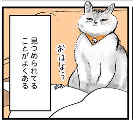 https://t.co/1lp3tzAB73 