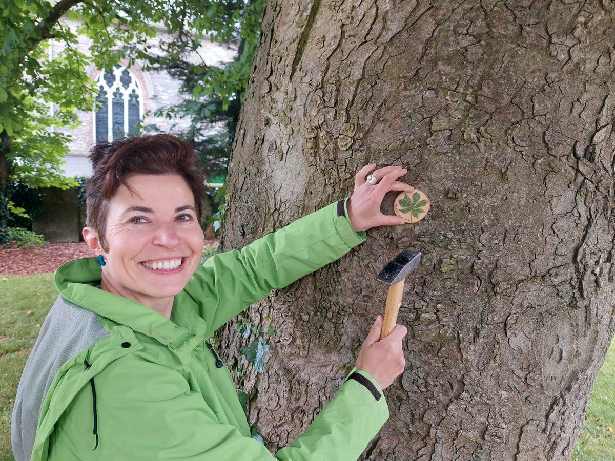 AgaGrandowicz's tweet photo. Placing some tree plaques for the community of Nass, with @SallinsBiodivGr
#treeplaques #treesigns #irishtrees
@irishtrees_ie https://t.co/KNKb5dKiOH