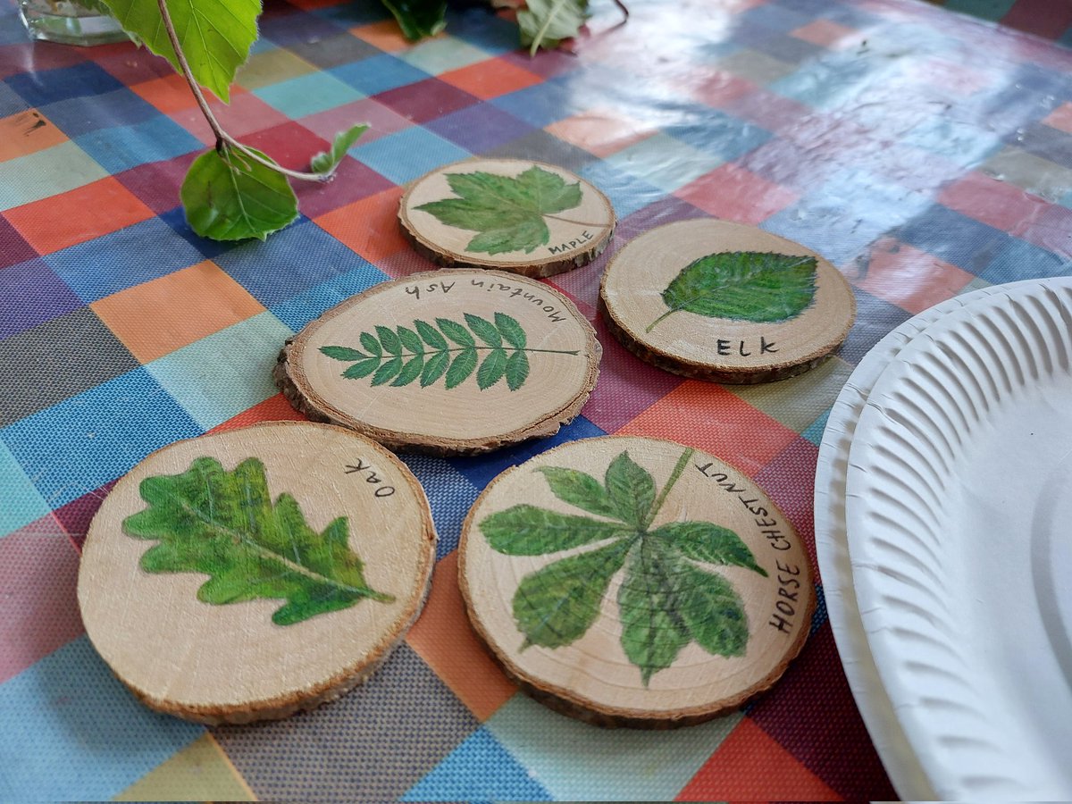 AgaGrandowicz's tweet photo. Placing some tree plaques for the community of Nass, with @SallinsBiodivGr
#treeplaques #treesigns #irishtrees
@irishtrees_ie https://t.co/KNKb5dKiOH