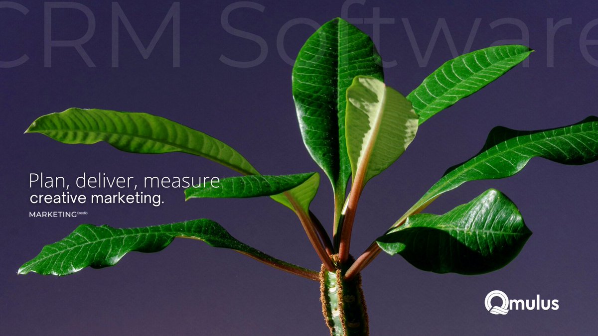 QmulusIT's tweet photo. Place your customers at the centre of your business!

With Creatio #CRM and #ProcessManagementSoftware, you can better understand your customers by examining their behaviour, needs, and preferred methods of communication.

Try Creatio 14 days Free Now! ↪https://t.co/FRbHMoq9lv https://t.co/IaQ0pn0M7y