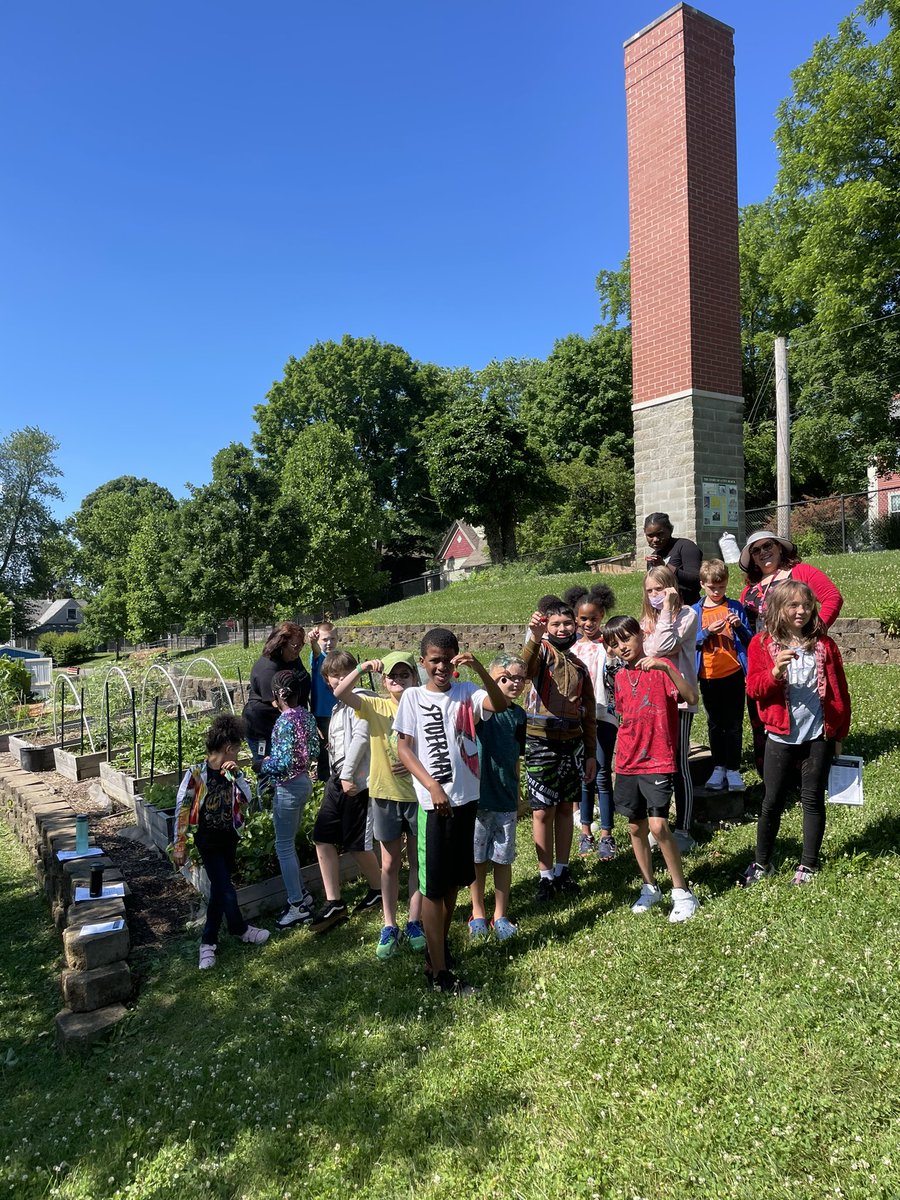 STEMtoThem's tweet photo. More summer school STEAM fun @Fairviewmccsc! 
Mural design with @UplandsMaker, strawberry harvesting, making space for pollinator-loving native species  (by weeding) &amp; working with our community partners at @SycLandTrust to identify natives vs. introduced species. @MCCSC_EDU https://t.co/xEGhBlPuZo