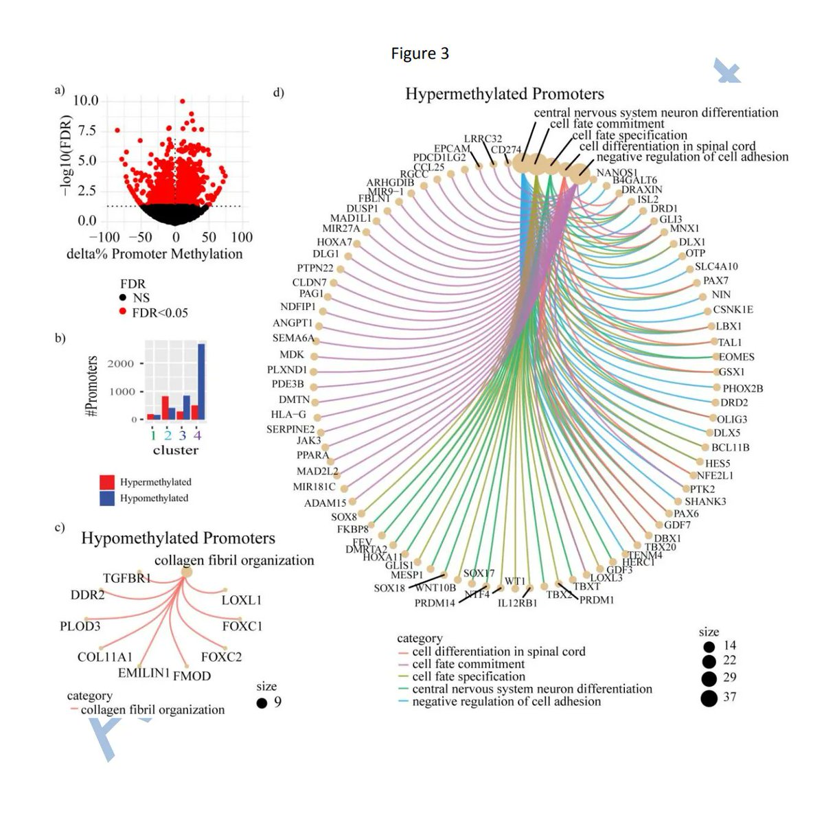 EditorNeuro's tweet photo. Have a read through one of our most recently accepted manuscripts on '#Epigenetic Dysregulation in #Meningiomas' and the researchers' findings! 

https://t.co/rS2dzMWUO8

#Neurology #Oncology #MalignantTransformation #FOXC1 #NeuroResearch https://t.co/72XiO2qjZZ