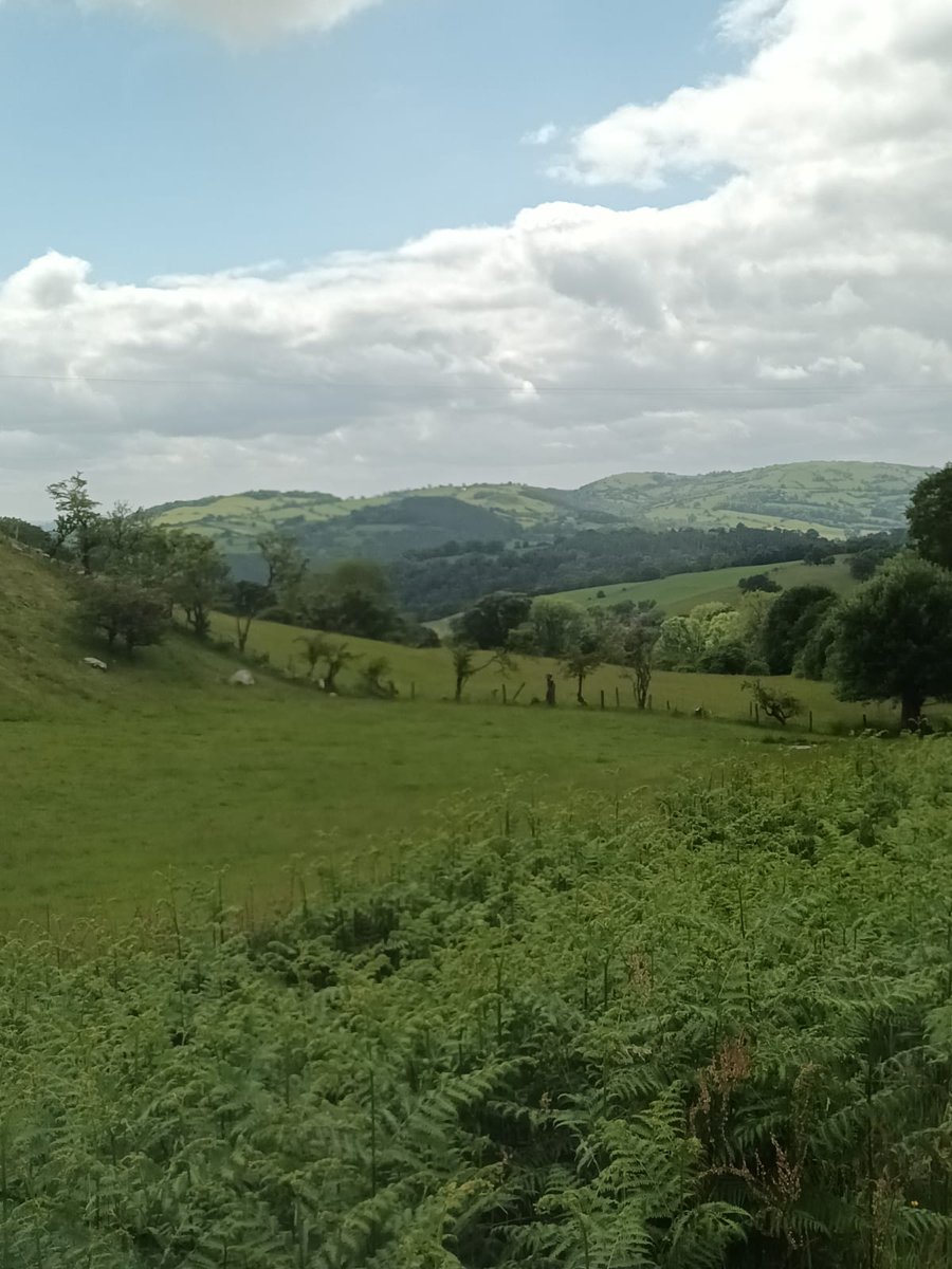 DALUSApp's tweet image. Nice delivery run out in Mid Wales yesterday, one of those days when every delivery is to just a house name and a postcode. Completely stress free thanks to DALUS  mydalus.com