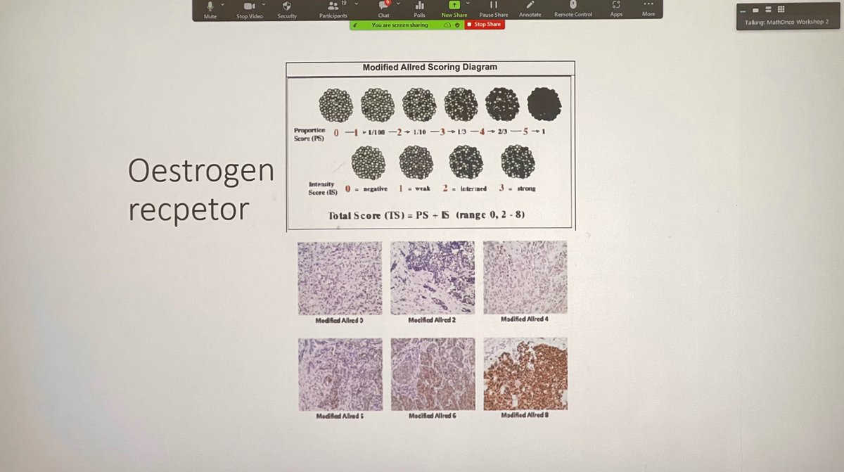 ara_anderson's tweet photo. Next up is local oncologist Mark Davies presenting on a subject very close to my heart, The evolution of cancer treatment #SWAMBA22 https://t.co/vk5asshi2W