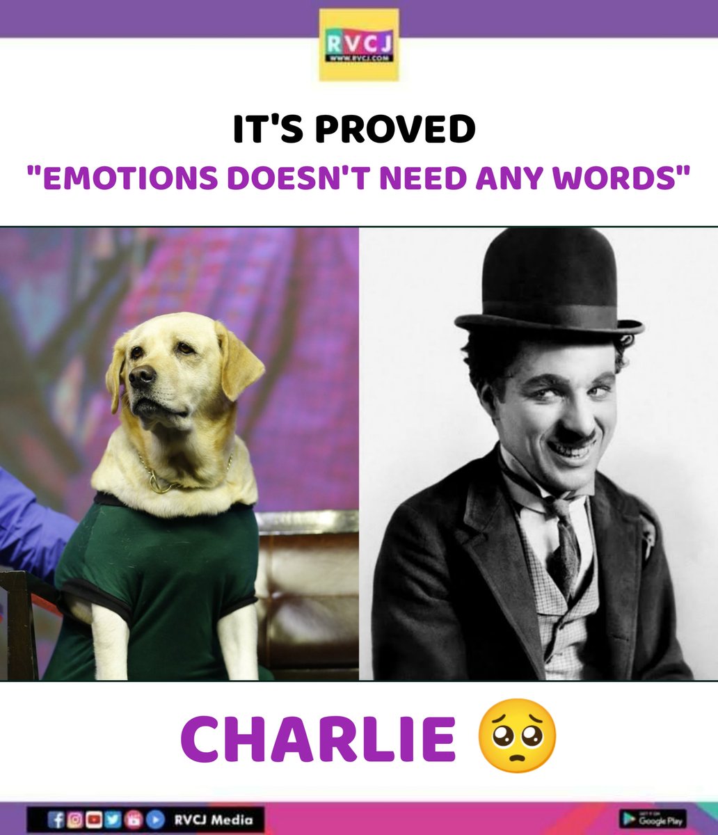 RVCJKannada's tweet photo. Charlie 🥺

Hats off to the entire team of @777CharlieMovie ! https://t.co/uGDqxsFrux