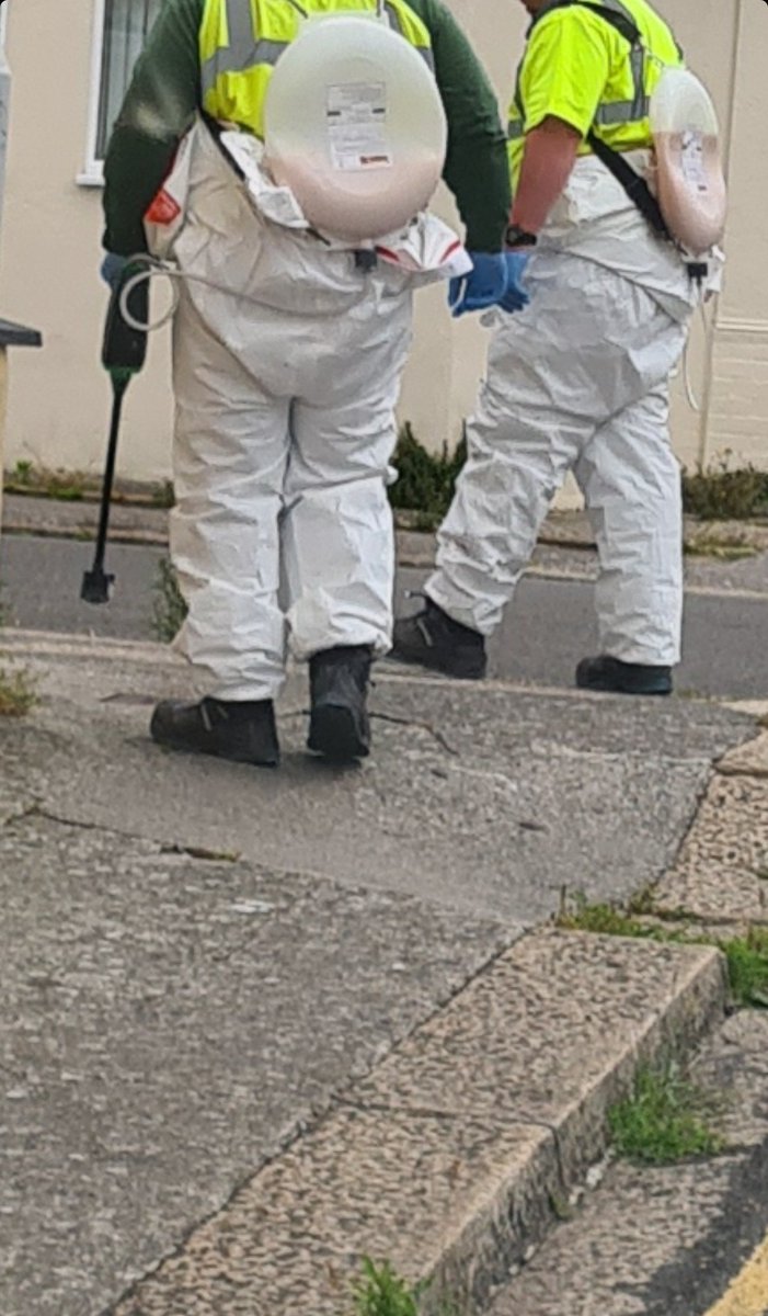 Hello <a href="/plymouthcc/">Plymouth City Council</a>

1/2

I've just spoken with 2 of your staff, who were both very polite and understood my concerns about them spraying #RoundUp to kill the flowers on local footpaths.

I have beehives close to here, and there are over 240 registered apiaries with a 10km radius.