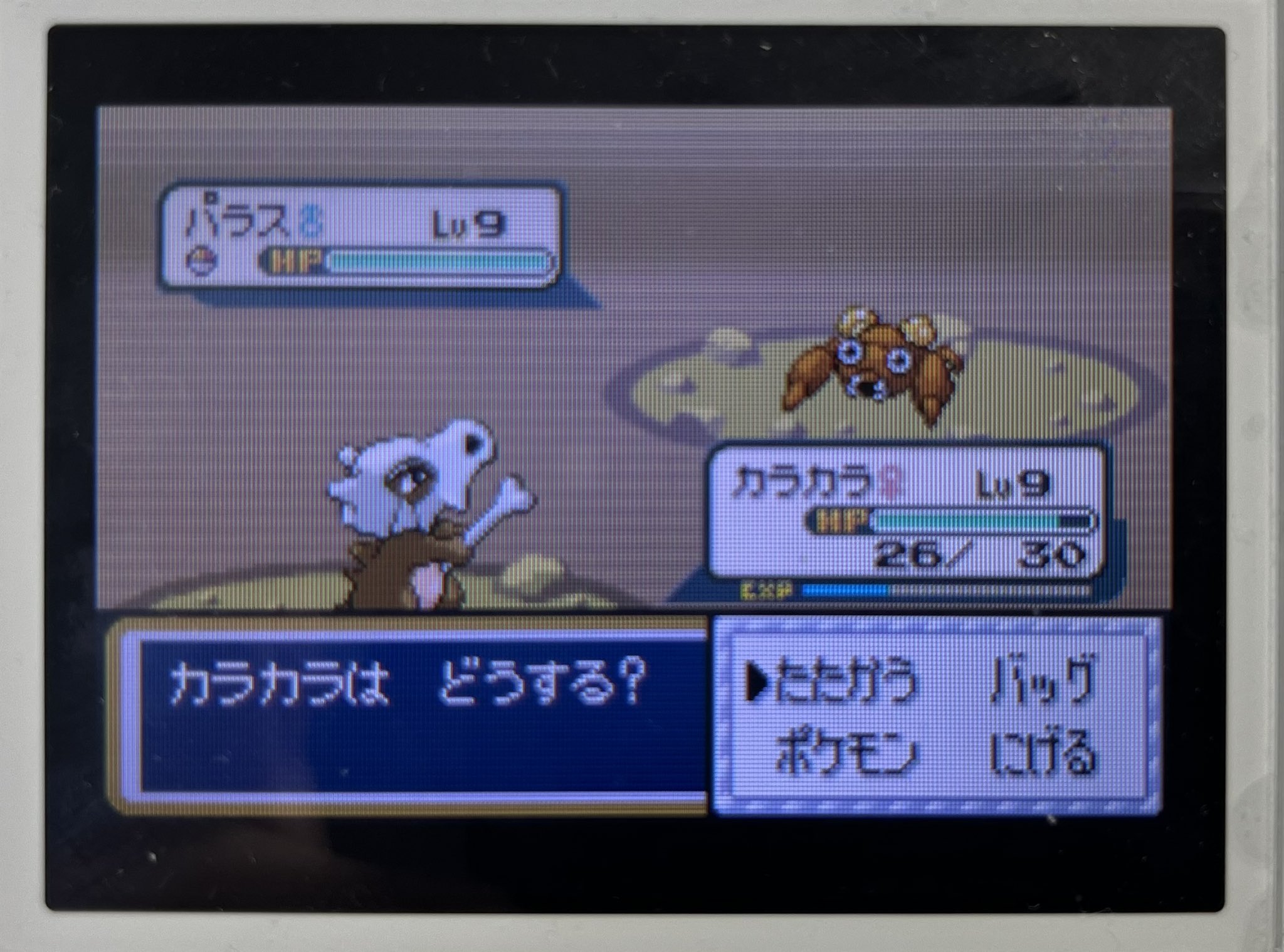 エーフィのガーネット Gane Espeon Twitter