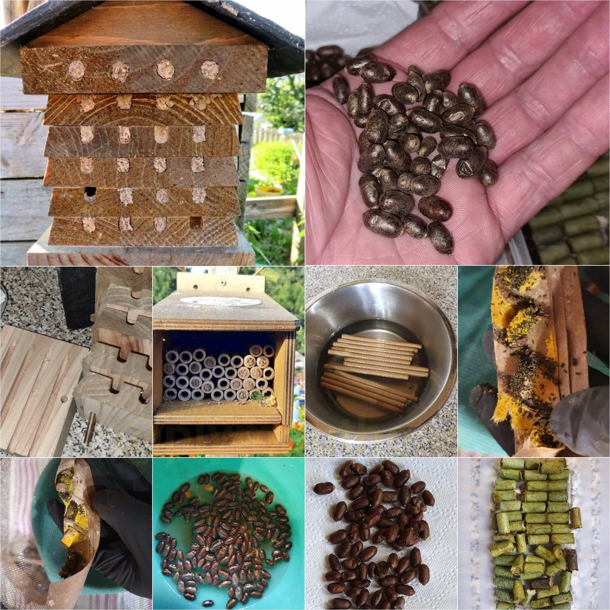 2/2

If they continue to walk in the direction that they are, they will spray  #Roundup weedkiller poison, along a fence line where I have 20 of my colonies, and where solitary #bees also nest in the ground.

Can you tell me how I can object, or how we can somehow work together?