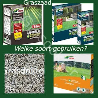Grasdokter's tweet photo. https://t.co/AqN3jbmU1f https://t.co/1Ud3YGvUmp