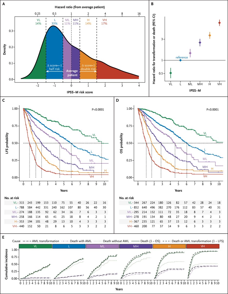 mtmdphd's tweet photo. Molecular International Prognostic Scoring System for Myelodysplastic Syndromes (#IPSSM) [Jun 12, 2022] @Elsa2Bernard et al. @PapaemmanuilLab @NEJMEvidence  
https://t.co/7yyQ3XHhWk #MDSsm an international study from the #IWG, supported by @MDSFoundation https://t.co/yCDLdXNqZ1