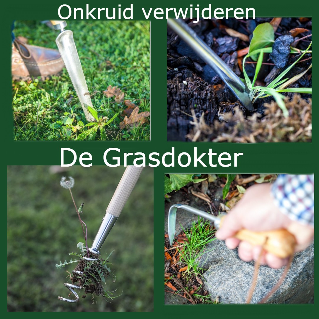 Grasdokter's tweet photo. https://t.co/CjU7tuArVI https://t.co/jVJelmorti