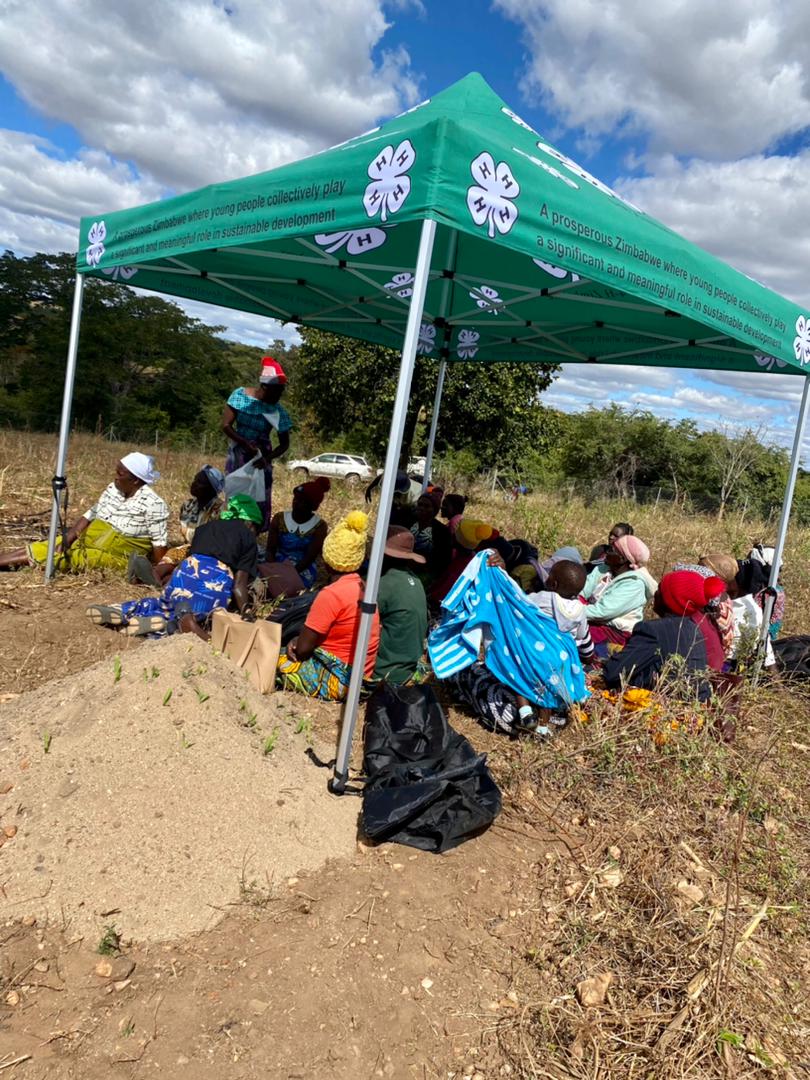 Progress on the women led Hurungwe community gardens