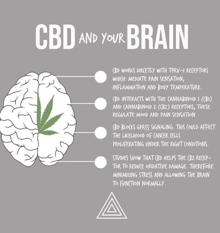 CBD_Pure_'s tweet photo. https://t.co/oyqrwhu9xF Follow @cbd_pure_ Order your cbd oil today!! 90 days money back guarantee.

#cbdoils #cbdhemp #cbdedibles #hemplife #cbdskincare #sativa #cbdforthepeople #indica #cbdlifestyle #hempflower #cbdcures #anxiety #cbduk #weedporn #cbdflower #cbdlove https://t.co/JgxbK0nJBz