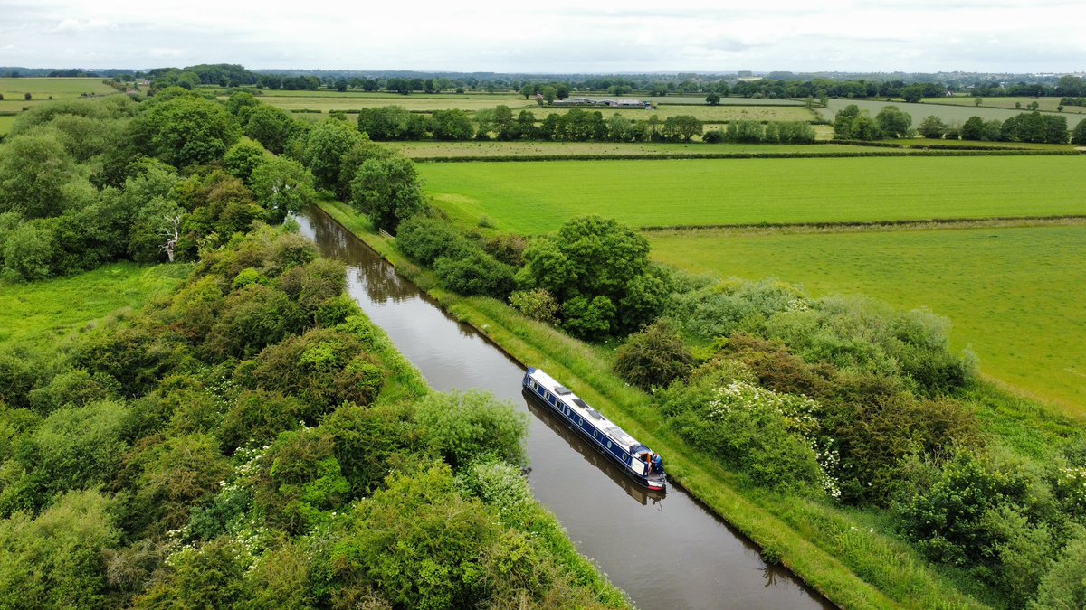 Narrowboat Amity tweet media