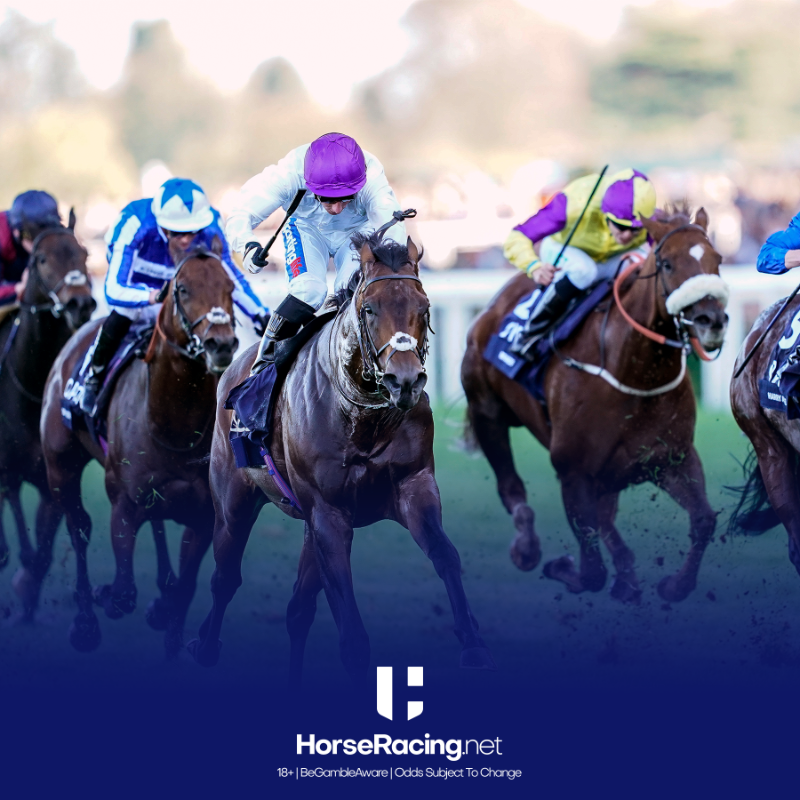HorseRacing_Net's tweet photo. We are set for one of the most exciting renewals of the King's Stand Stakes at #RoyalAscot in recent times on Tuesday!
We've previewed the race and put up an E/W shout... π
BeGambleAware +18