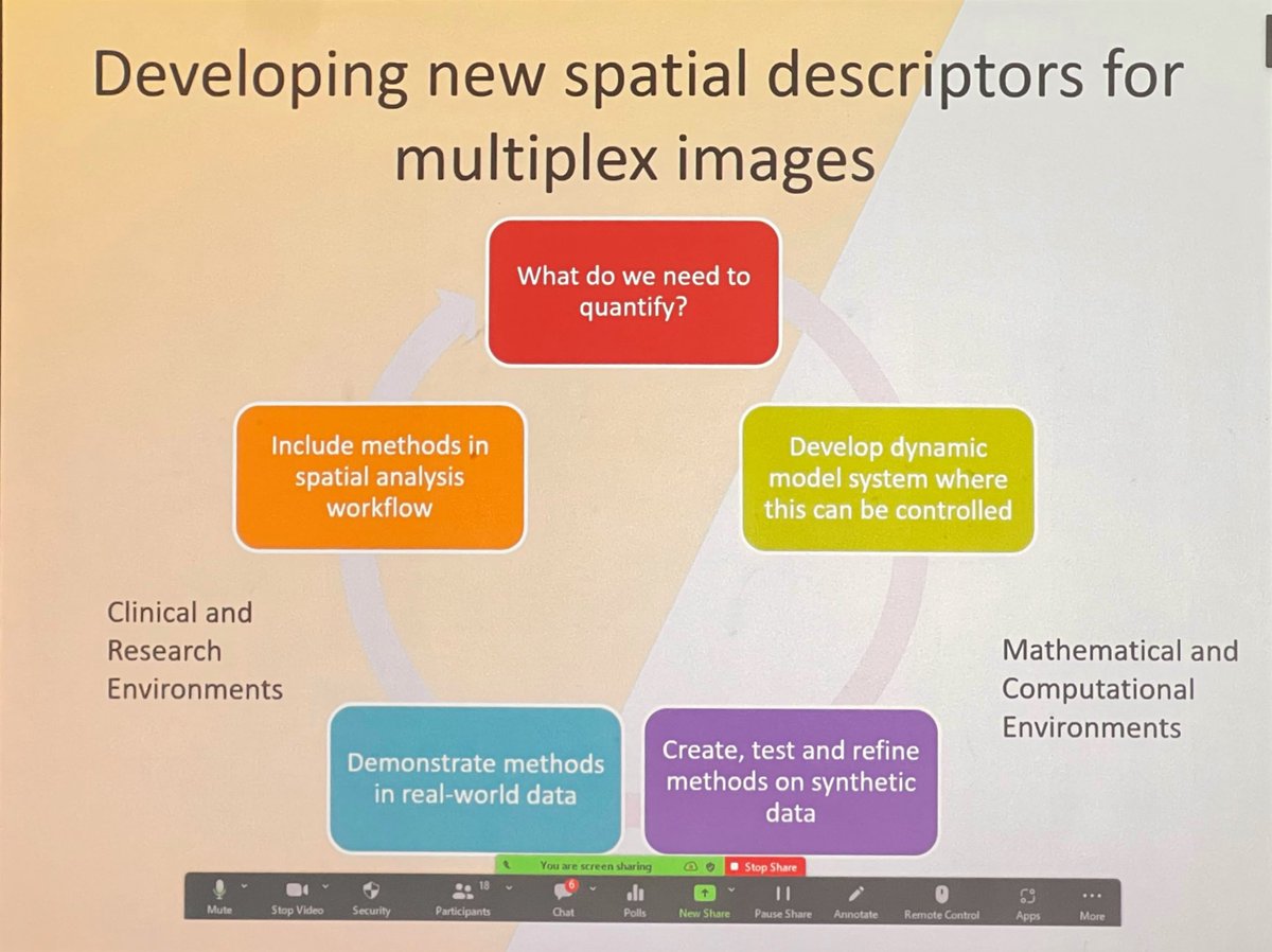 ara_anderson's tweet photo. Next up is @JoshuaABull presenting, Mathematical methods for mapping multiplex models of macrophages #SWAMBA22 @OxUniMaths https://t.co/FZcl7veJ2l