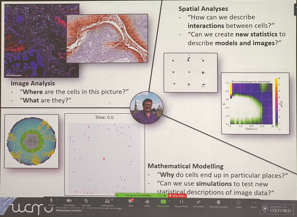 ara_anderson's tweet photo. Next up is @JoshuaABull presenting, Mathematical methods for mapping multiplex models of macrophages #SWAMBA22 @OxUniMaths https://t.co/FZcl7veJ2l