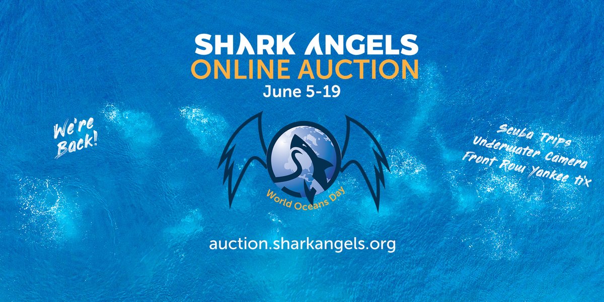 sharkangels's tweet photo. Would you please help spread the word about our online charity auction?
https://t.co/WIr1peS2Hz

@Divebunnie @spottedcatshark @SCUBAShow
@ElasmoProject @Roz_UWMarketing @idivespirit @indokerri @oceanfilmfest @MA_Sharks
@DarcyKieran @DAN_Europe @scubacom https://t.co/2Cjs9SnB9x