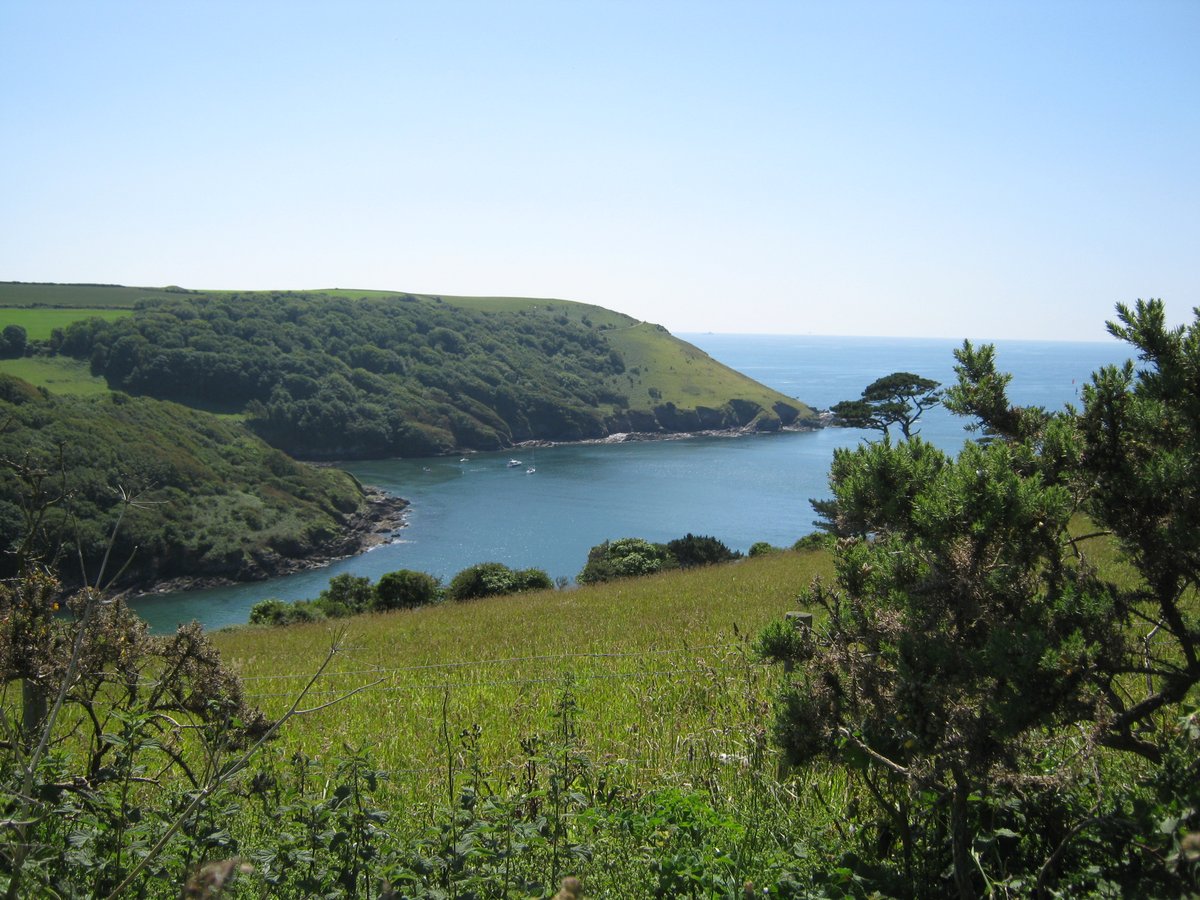 SouthDevonNL's tweet photo. #BeeInvolved FREE series of Coastal walks 20-25th June celebrating @insectweek . Our #LifeontheEdge experts will be leading walks in 5 hot spots. Working to restore habitats for endangered species. @HeritageFundUK @AONBFamily @DevonLNP More here: https://t.co/QW8AcVSX0Z https://t.co/v0GXAYLkKa