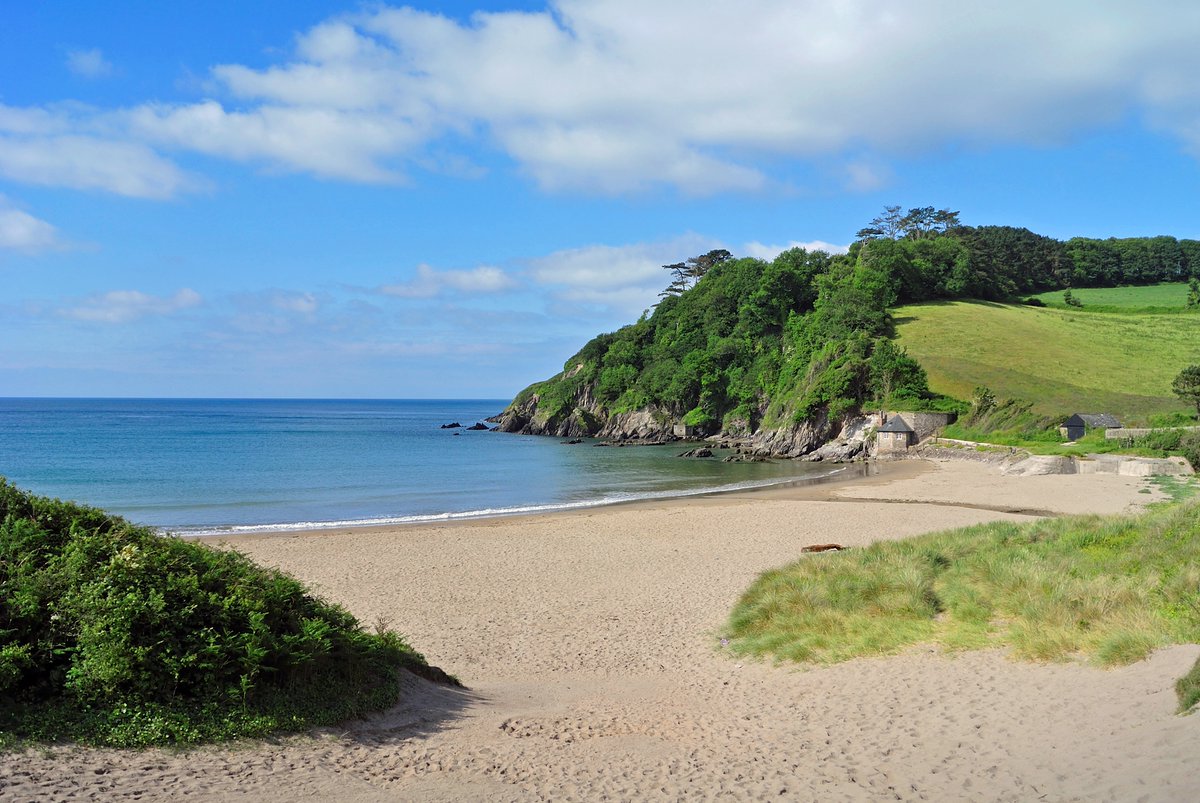 SouthDevonNL's tweet photo. #BeeInvolved FREE series of Coastal walks 20-25th June celebrating @insectweek . Our #LifeontheEdge experts will be leading walks in 5 hot spots. Working to restore habitats for endangered species. @HeritageFundUK @AONBFamily @DevonLNP More here: https://t.co/QW8AcVSX0Z https://t.co/v0GXAYLkKa